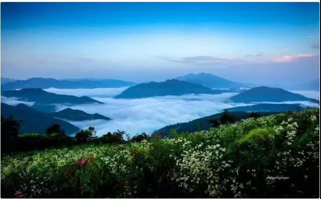&#27431;&#23453;&#32593;&#39029;&#29256;&#30331;&#24405;&#20837;&#21475;&#45;&#27431;&#23453;&#111;&#110;&#108;&#105;&#110;&#101;&#40;&#20013;&#22269;&#41;