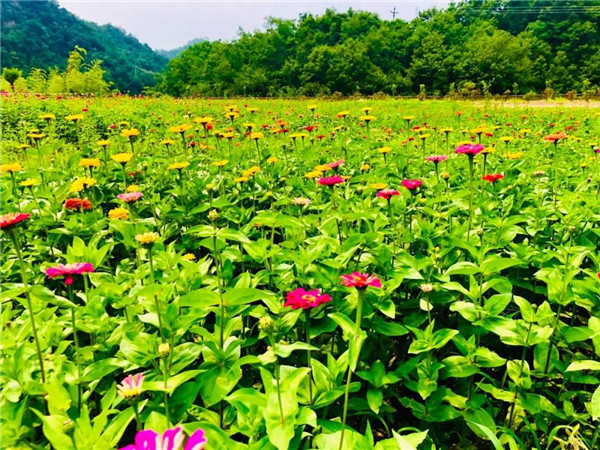&#27431;&#23453;&#32593;&#39029;&#29256;&#30331;&#24405;&#20837;&#21475;&#45;&#27431;&#23453;&#111;&#110;&#108;&#105;&#110;&#101;&#40;&#20013;&#22269;&#41;