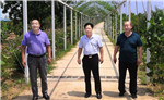 &#27431;&#23453;&#32593;&#39029;&#29256;&#30331;&#24405;&#20837;&#21475;&#45;&#27431;&#23453;&#111;&#110;&#108;&#105;&#110;&#101;&#40;&#20013;&#22269;&#41;